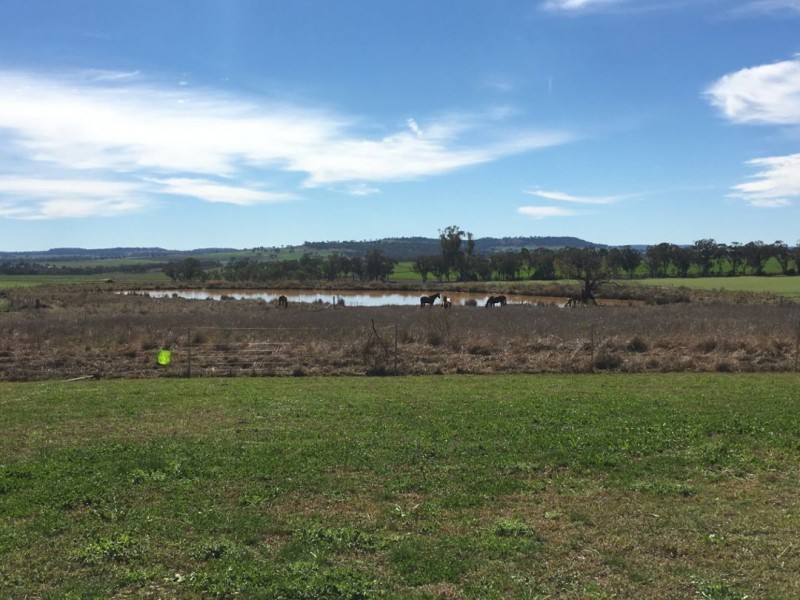 Bella, Delungra NSW 2403