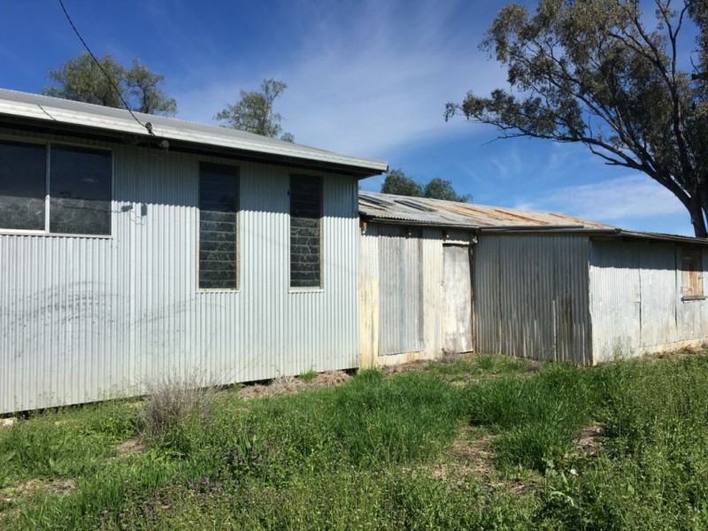 Bella, Delungra NSW 2403