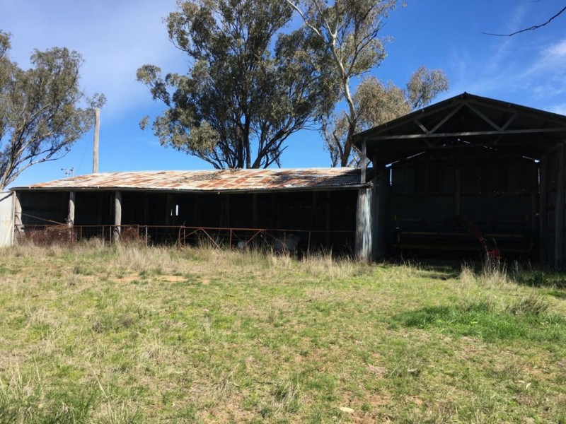 Bella, Delungra NSW 2403