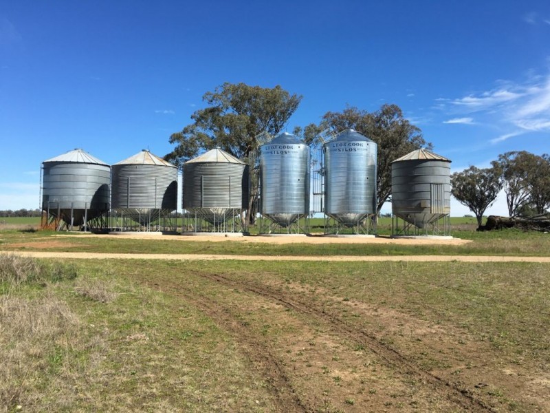 Bella, Delungra NSW 2403