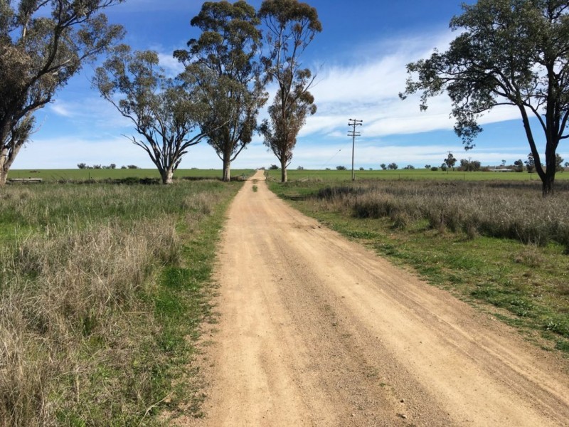 Bella, Delungra NSW 2403