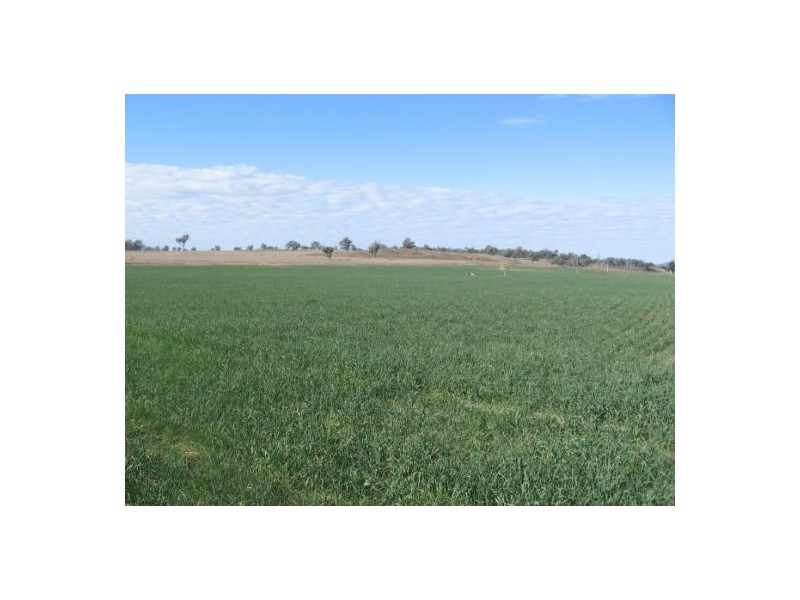 “Coolowie”, Bingara NSW 2404