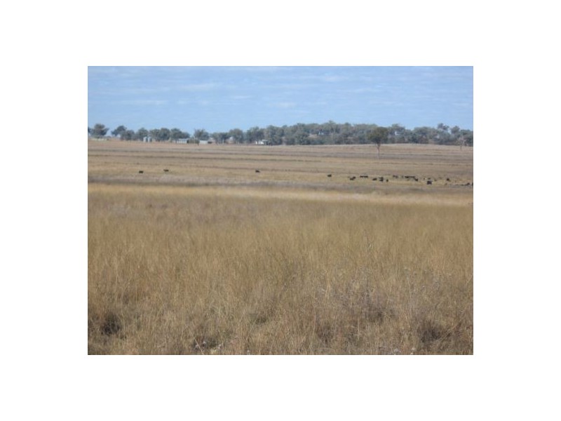 “Coolowie”, Bingara NSW 2404