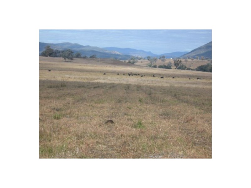 “Coolowie”, Bingara NSW 2404