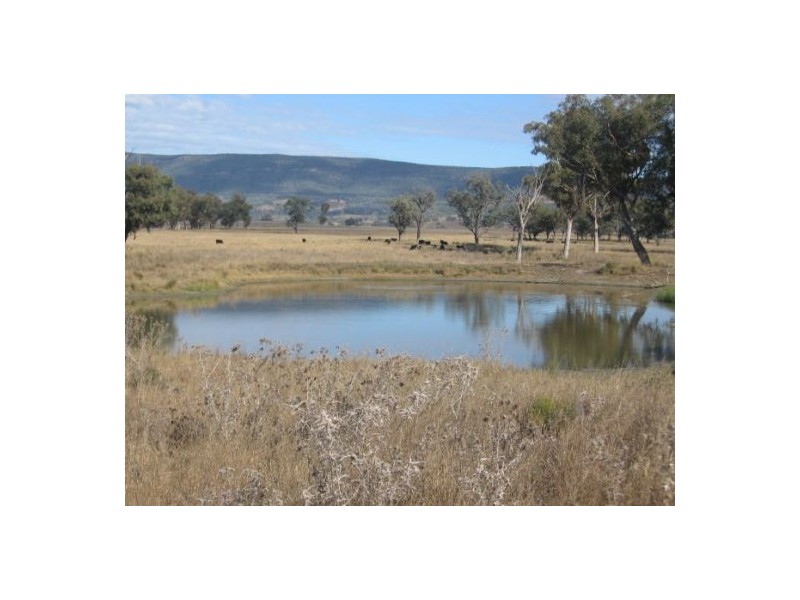 “Coolowie”, Bingara NSW 2404