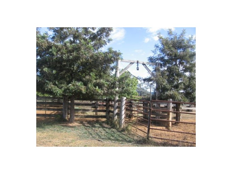 “Coolowie”, Bingara NSW 2404