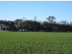 “Myall Park”, Croppa Creek NSW 2411