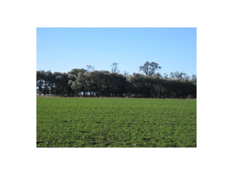 “Myall Park”, Croppa Creek NSW 2411
