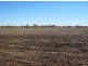 “Myall Park”, Croppa Creek NSW 2411