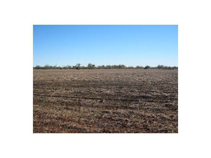 “Myall Park”, Croppa Creek NSW 2411
