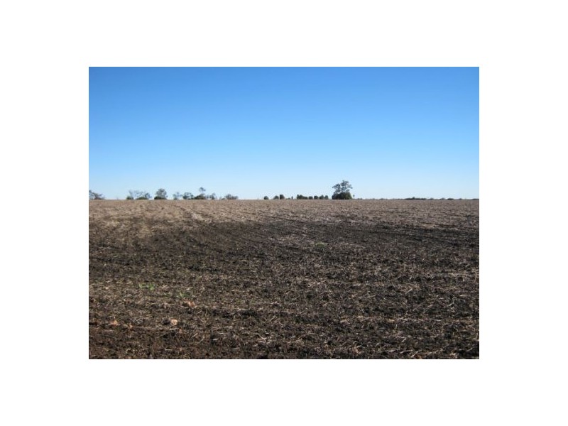 “Myall Park”, Croppa Creek NSW 2411