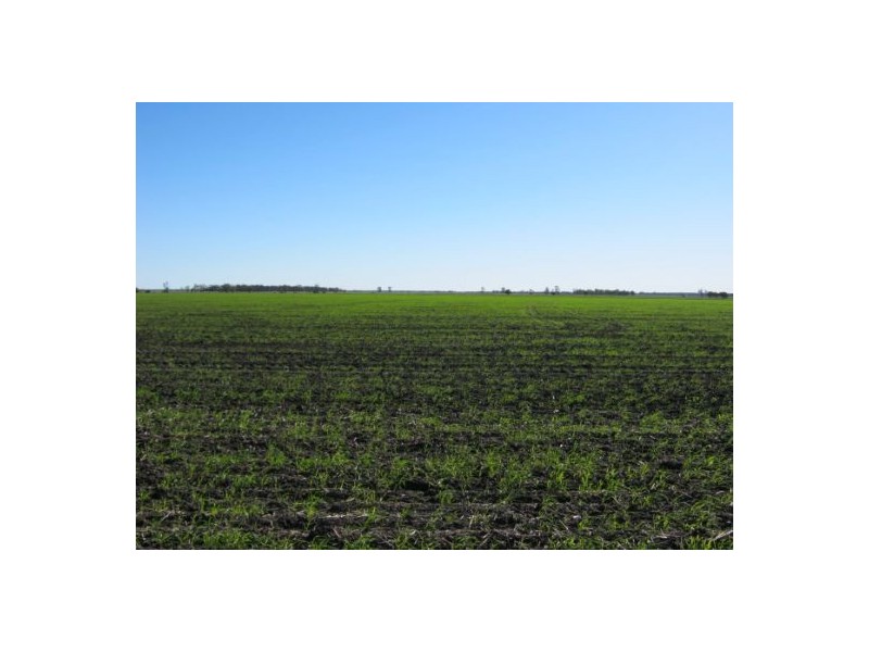 “Myall Park”, Croppa Creek NSW 2411