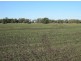 “Myall Park”, Croppa Creek NSW 2411