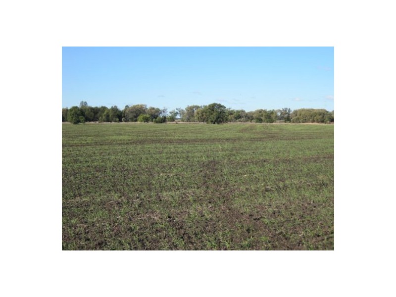 “Myall Park”, Croppa Creek NSW 2411