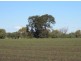 “Myall Park”, Croppa Creek NSW 2411