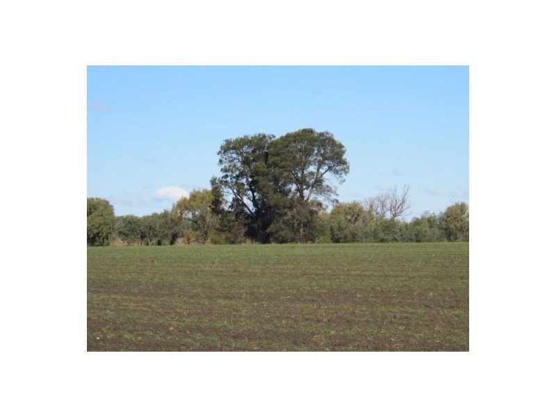 “Myall Park”, Croppa Creek NSW 2411