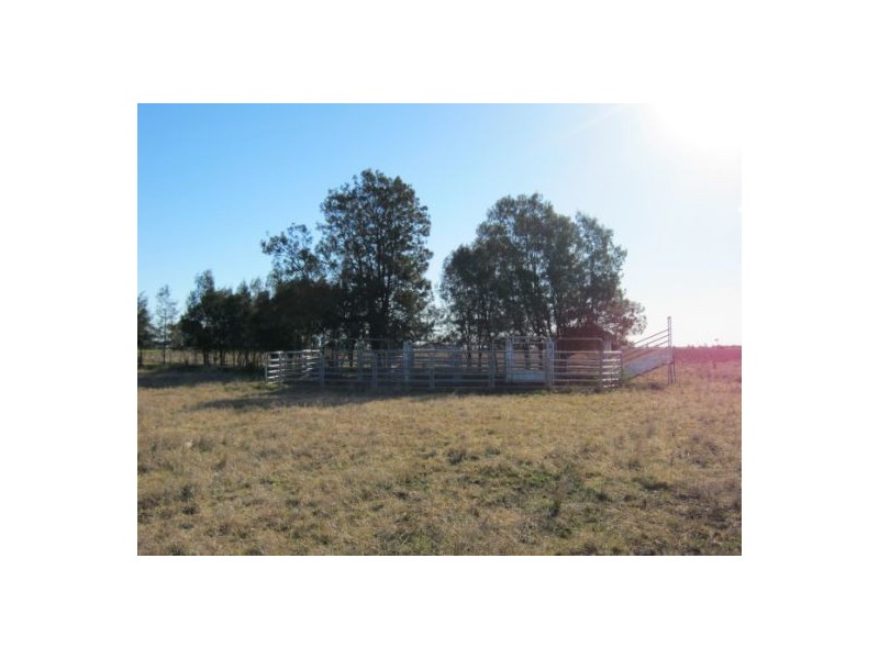 “Myall Park”, Croppa Creek NSW 2411