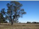 “Myall Park”, Croppa Creek NSW 2411