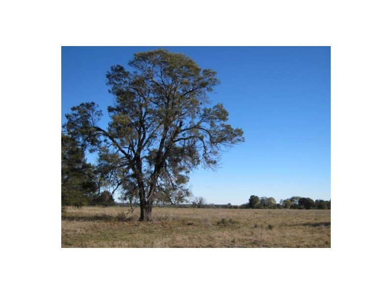 “Myall Park”, Croppa Creek NSW 2411