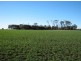 “Myall Park”, Croppa Creek NSW 2411