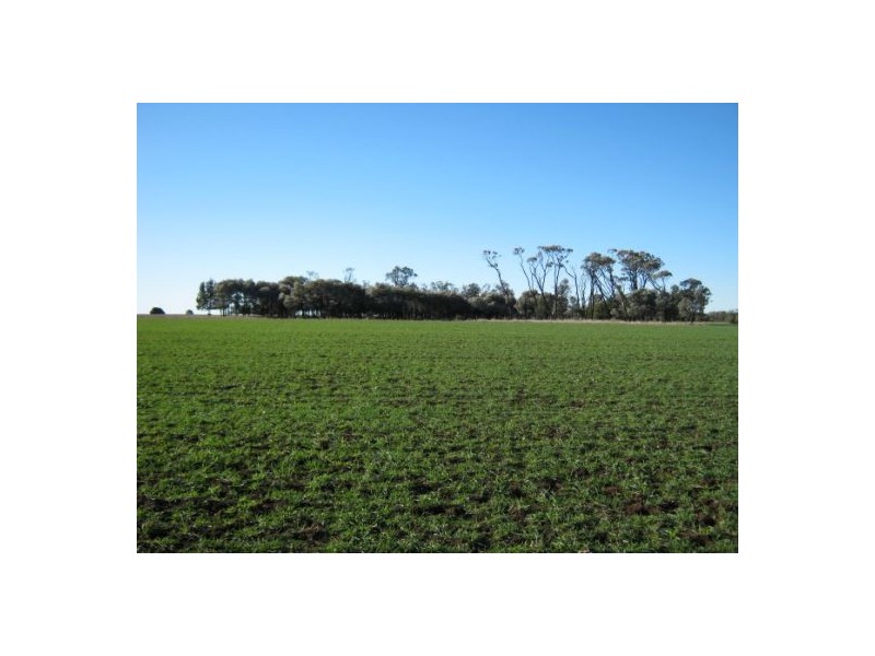“Myall Park”, Croppa Creek NSW 2411
