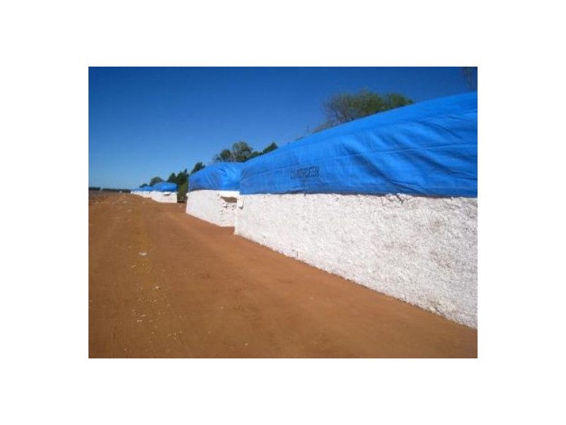 “Cumberdeen”, Wee Waa NSW 2388