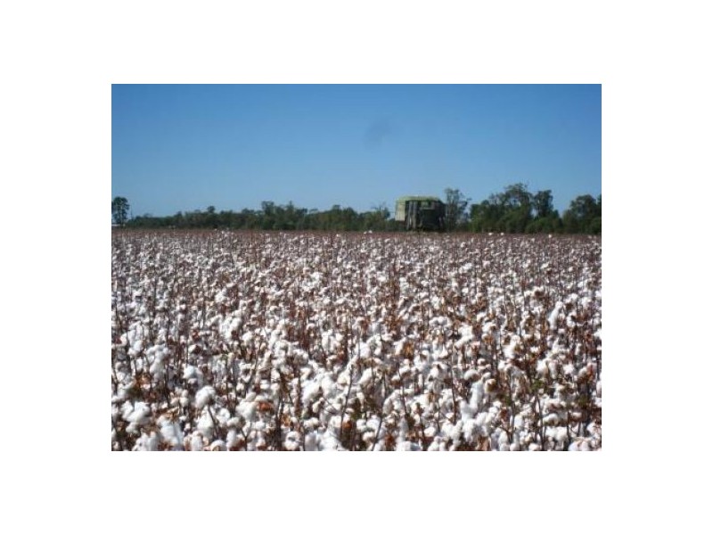 “Cumberdeen”, Wee Waa NSW 2388