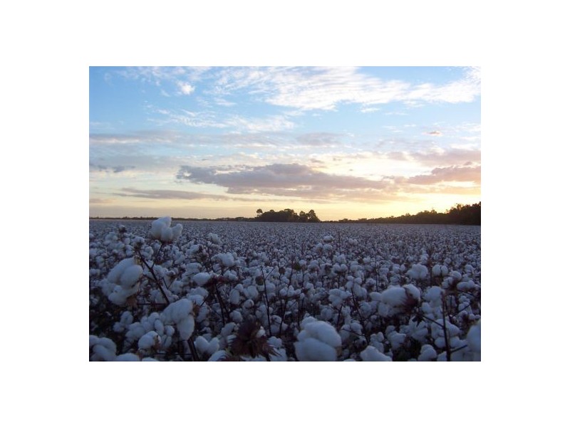 “Cumberdeen”, Wee Waa NSW 2388