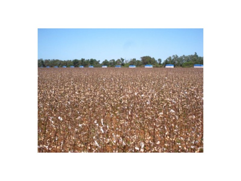 “Cumberdeen”, Wee Waa NSW 2388