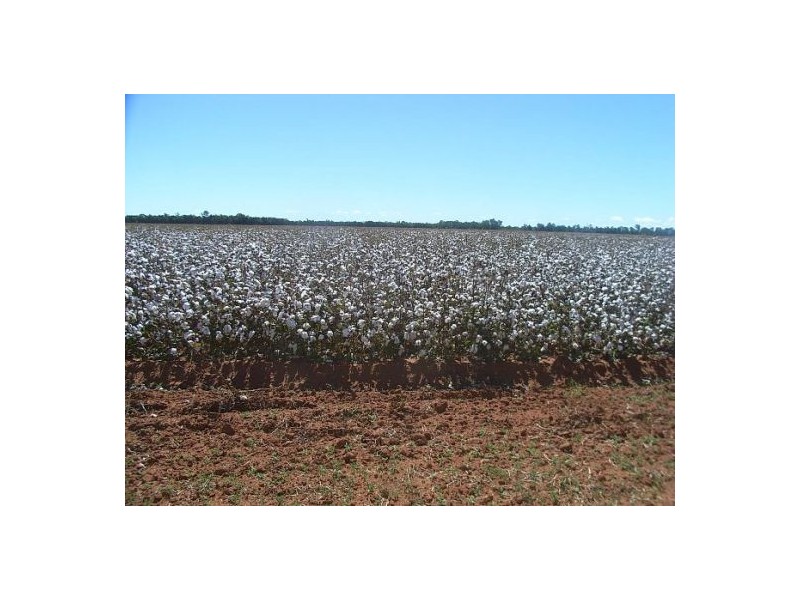 “Cumberdeen”, Wee Waa NSW 2388