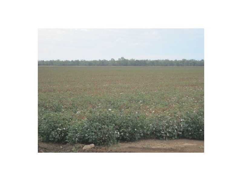 “Lochadair”, Boomi NSW 2405