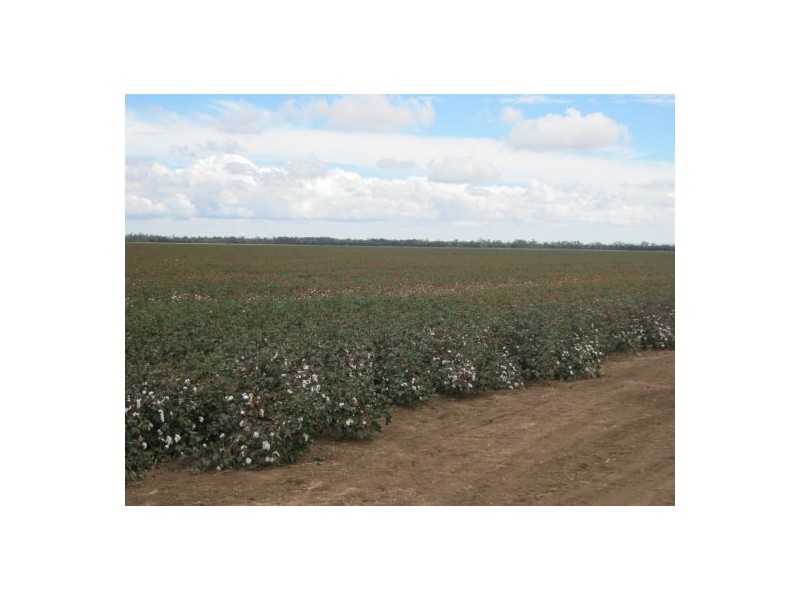 “Lochadair”, Boomi NSW 2405