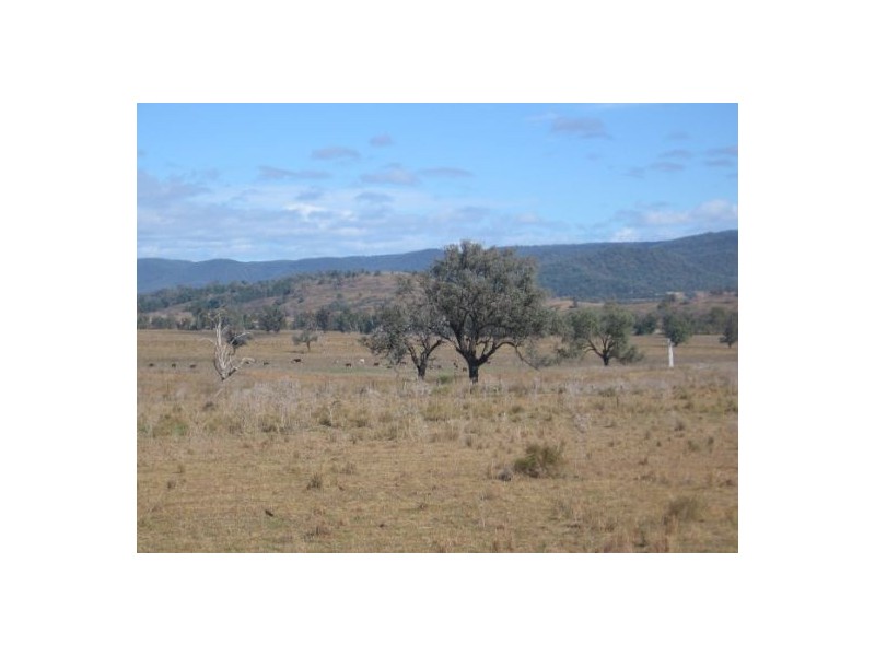 “Robina”, Bingara NSW 2404
