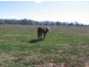 “Robina”, Bingara NSW 2404