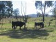 “Robina”, Bingara NSW 2404