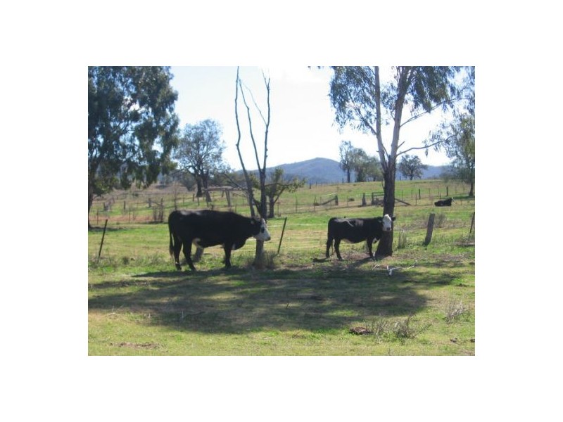 “Robina”, Bingara NSW 2404