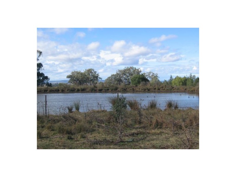 “Robina”, Bingara NSW 2404