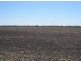 “Part Krowa”, Moree NSW 2400