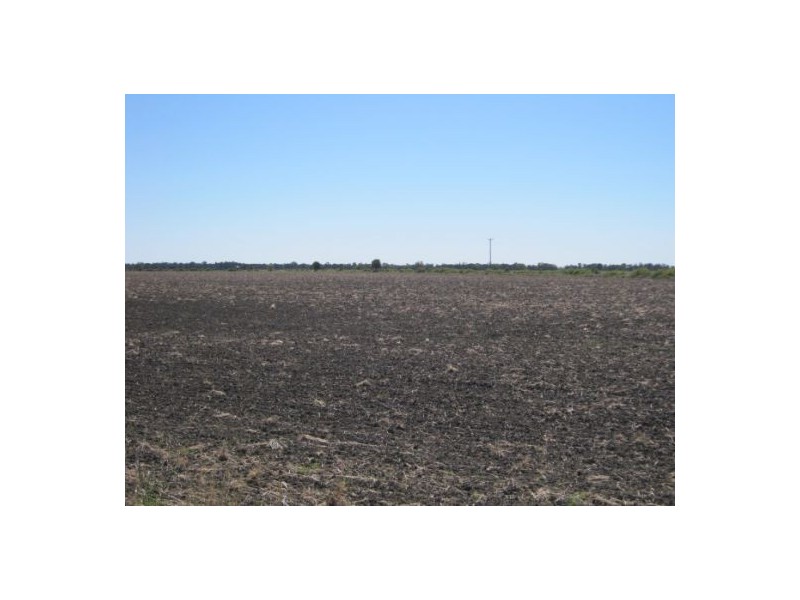 “Part Krowa”, Moree NSW 2400