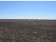 “Part Krowa”, Moree NSW 2400