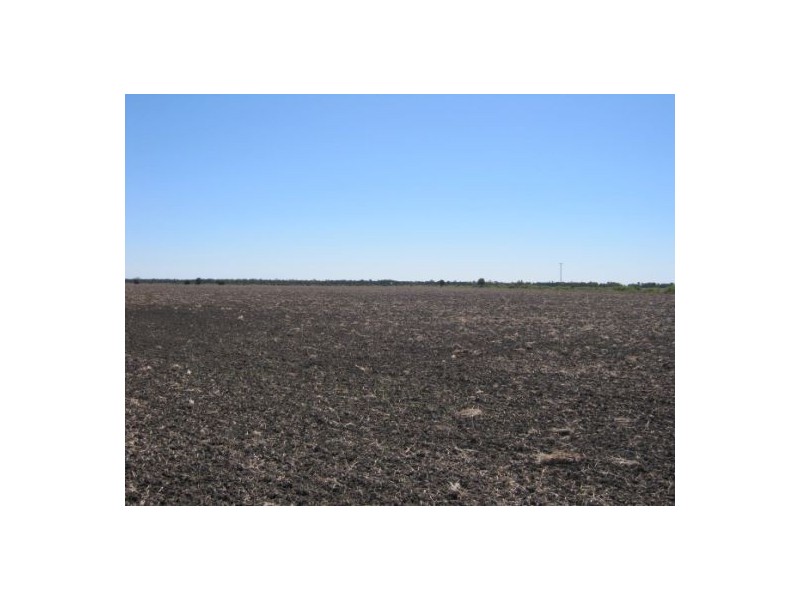 “Part Krowa”, Moree NSW 2400