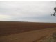 “Boonewell”, Collarenebri NSW 2833