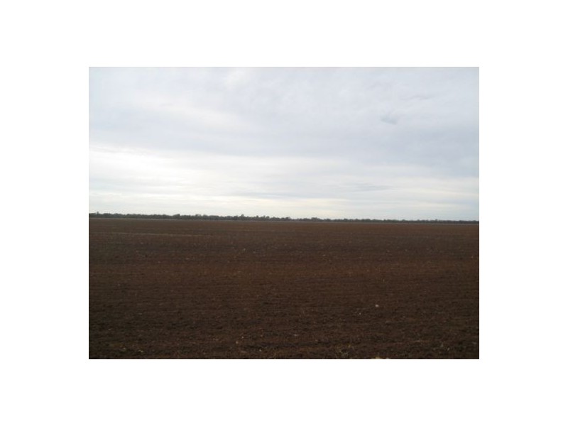 “Boonewell”, Collarenebri NSW 2833