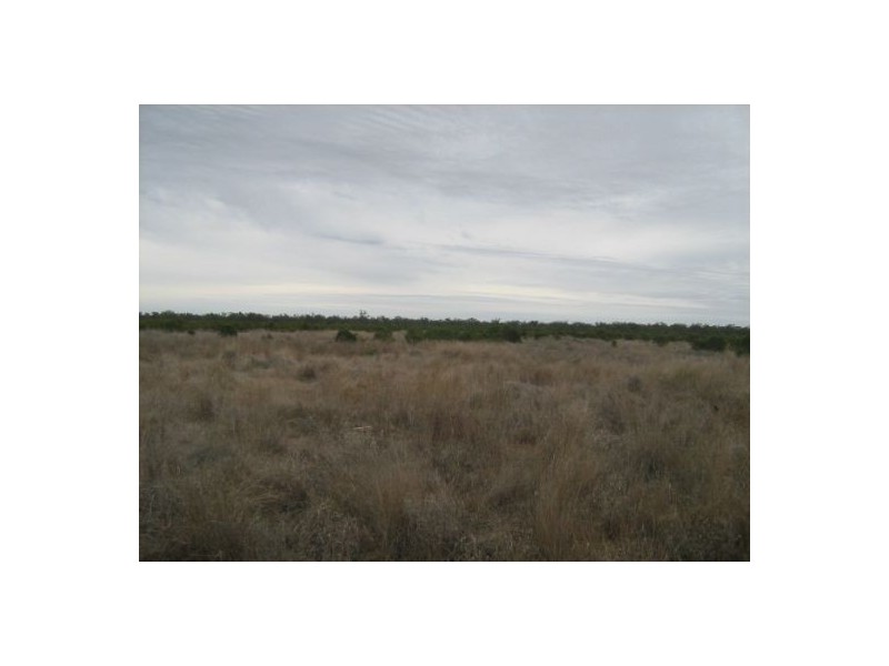 “Boonewell”, Collarenebri NSW 2833