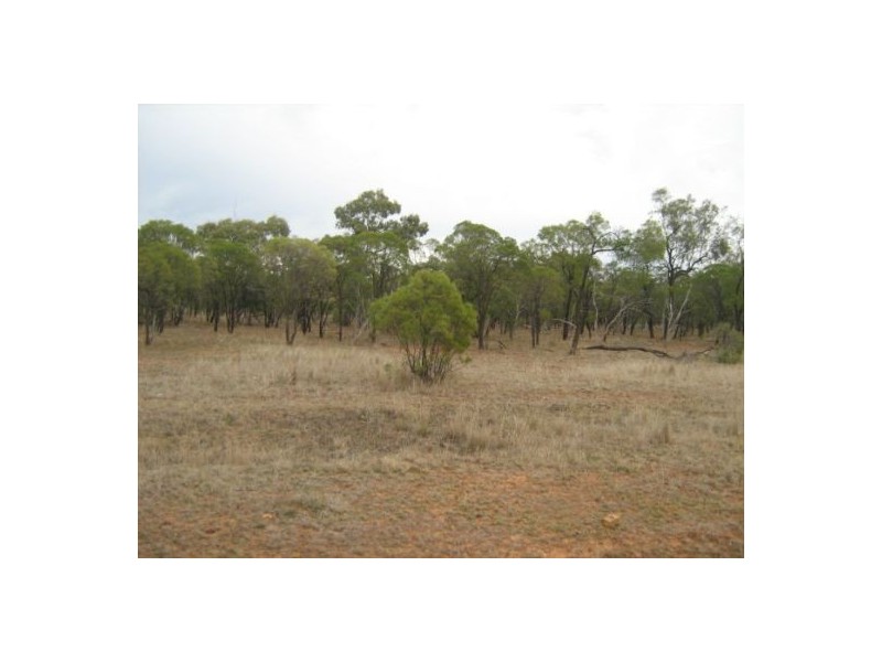 “Boonewell”, Collarenebri NSW 2833