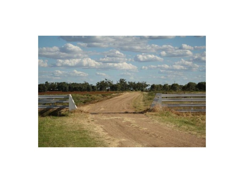 NERINGLA  Watercourse Road, Moree NSW 2400