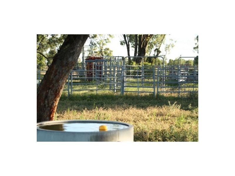 NERINGLA  Watercourse Road, Moree NSW 2400