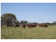 NERINGLA  Watercourse Road, Moree NSW 2400