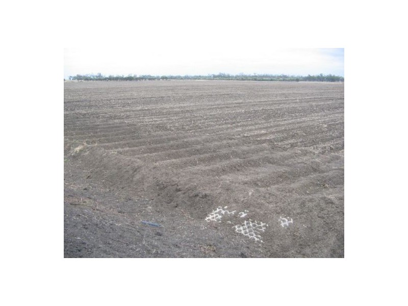 NERINGLA  Watercourse Road, Moree NSW 2400