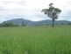 “Fairview”, Bingara NSW 2404